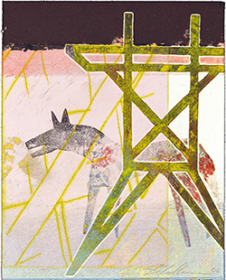 Joe Feddersen
