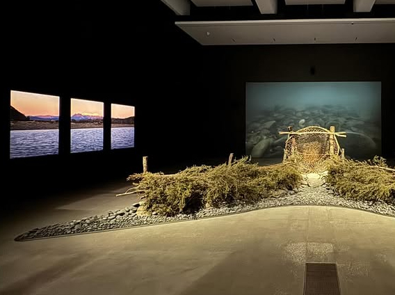 installation of net, video and photographs of Waiapu River
