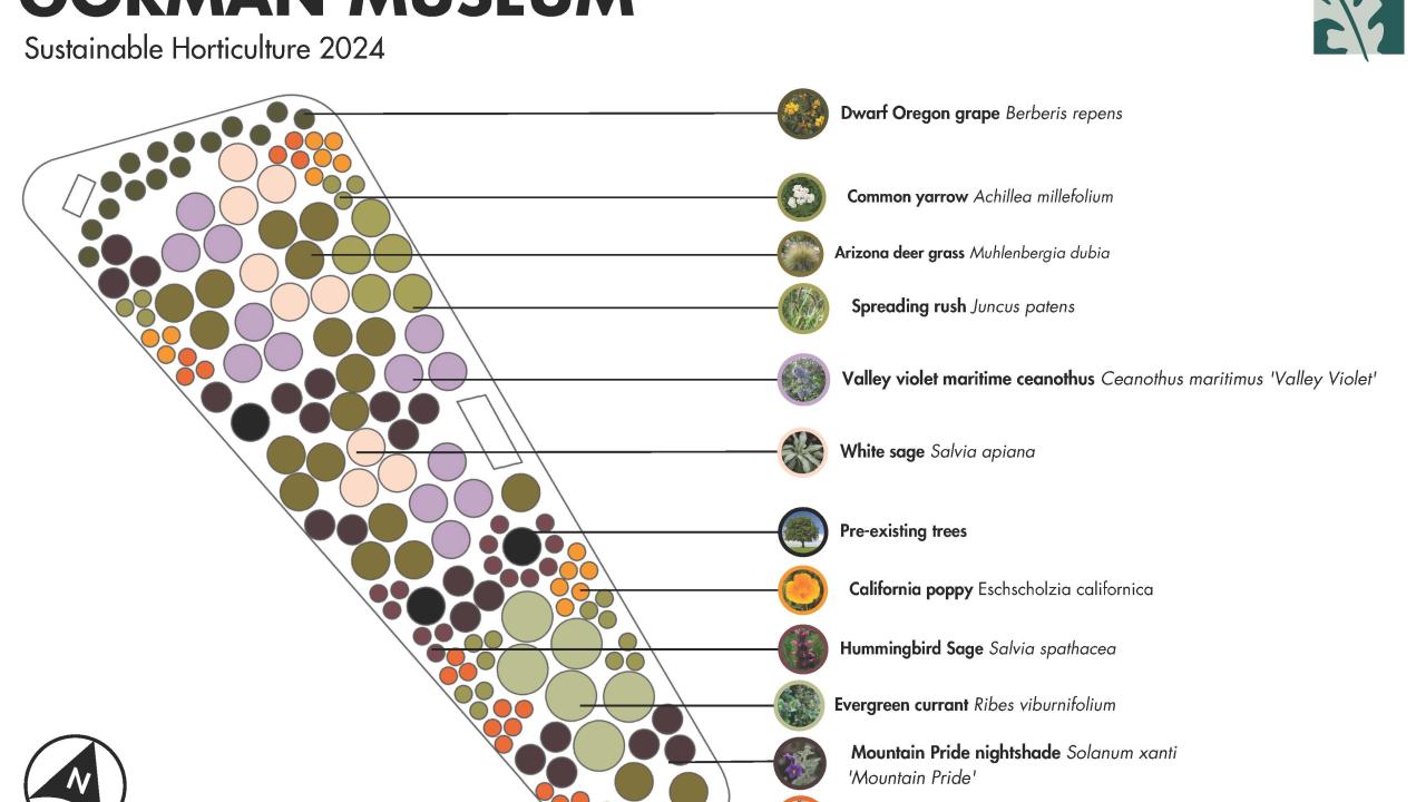 Planting plan