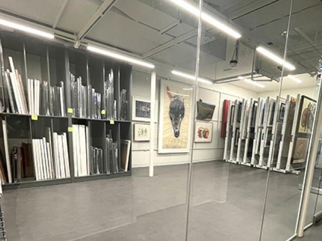 Visible collections area